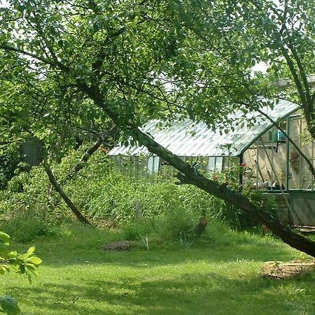 Chambres D'Hotes Le Pont Romain Montfort-le-Gesnois ภายนอก รูปภาพ